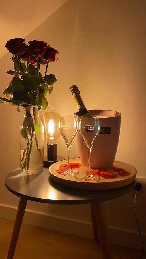 Couttet Champion Romantique Proche Gare Annecy Appartement